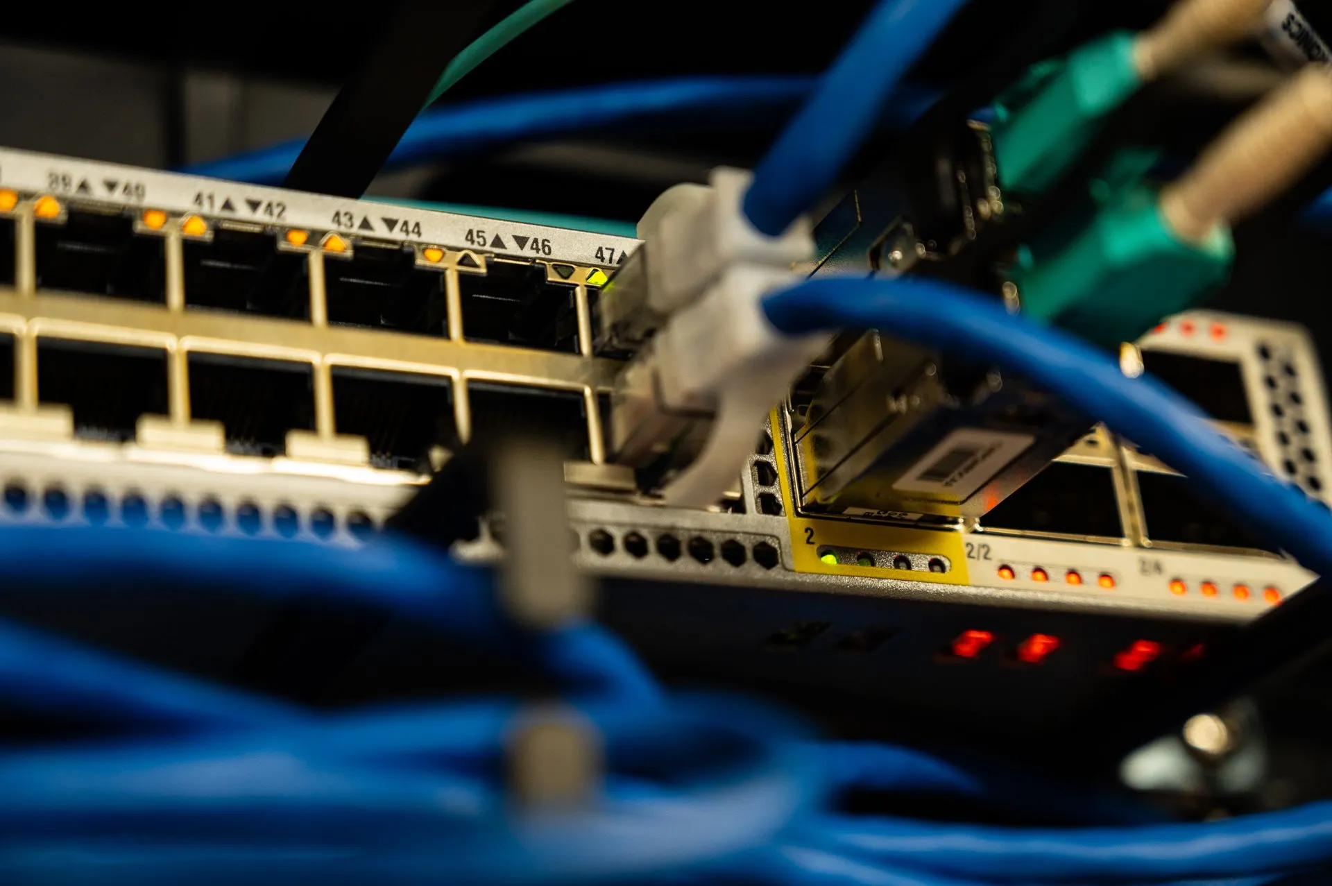 Blue ethernet cables plugged into a network switch