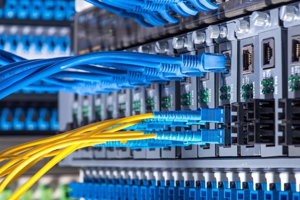 Blue and yellow fibre patch cables connected to a network patch panel